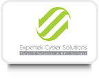 Expert Cyber Solution